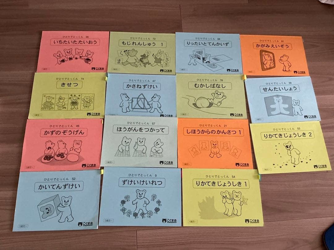 私立・ 国立小学校受験資料 まとめ売り理英会　こぐま会など