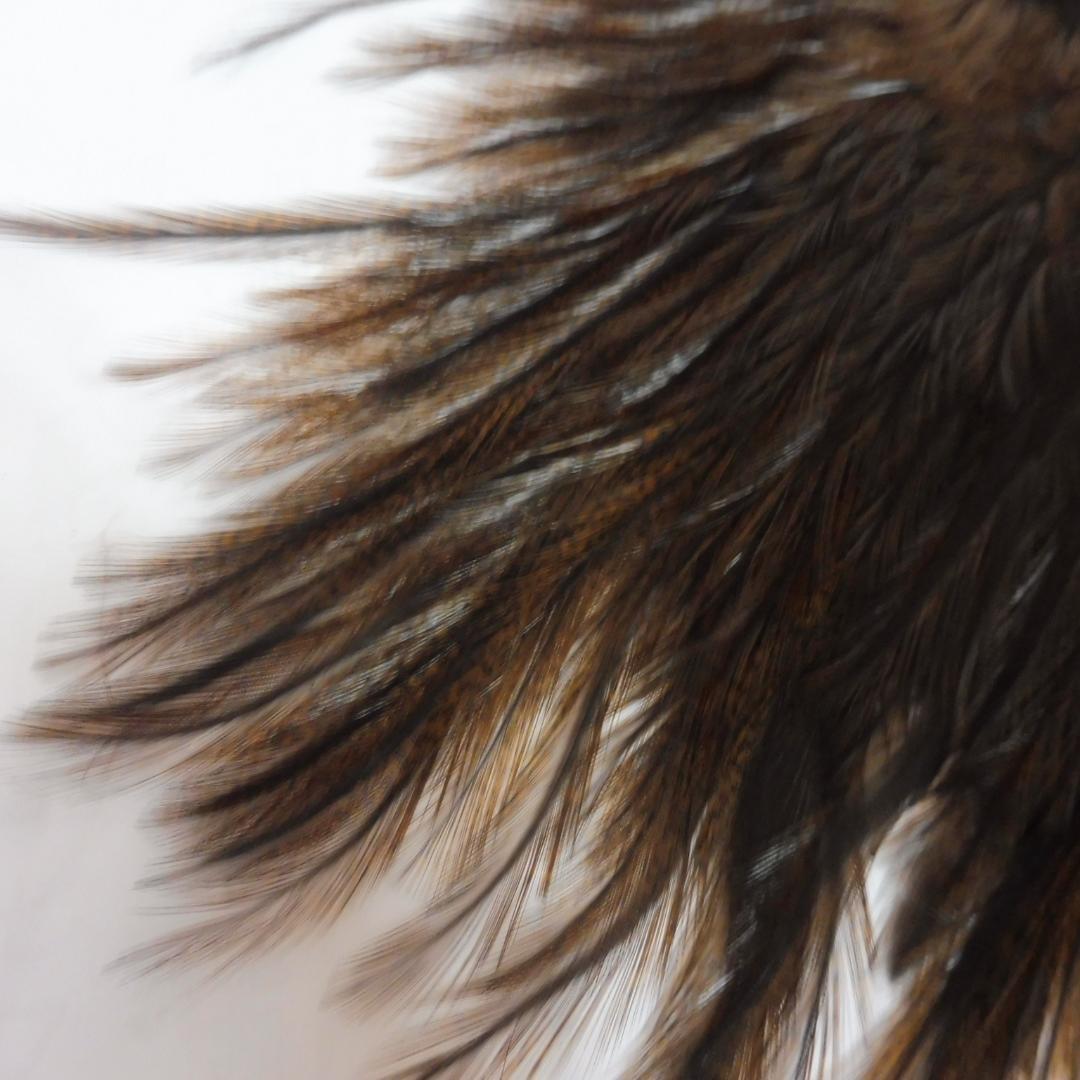 コックデレオン Whiting Badger dyed Brown