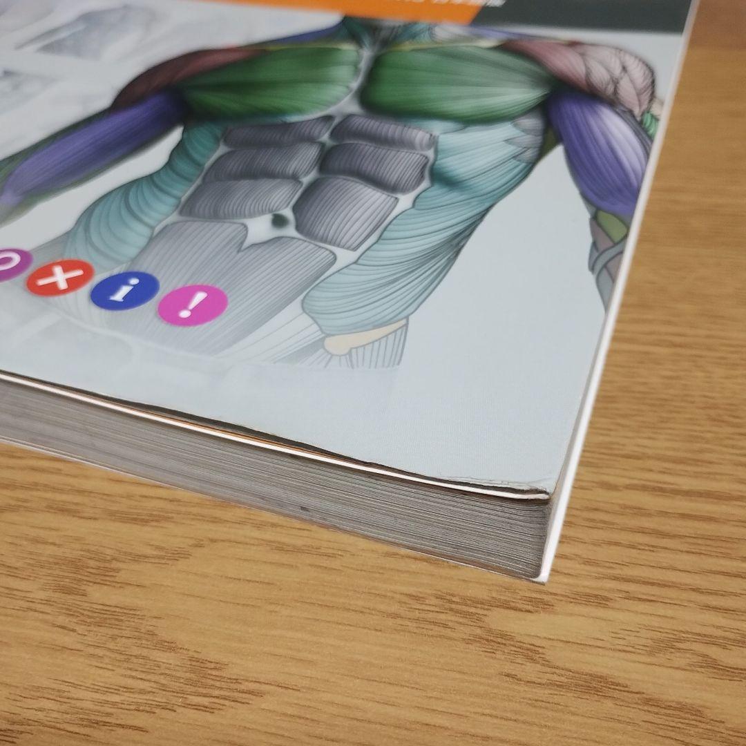 スカルプターのための美術解剖学