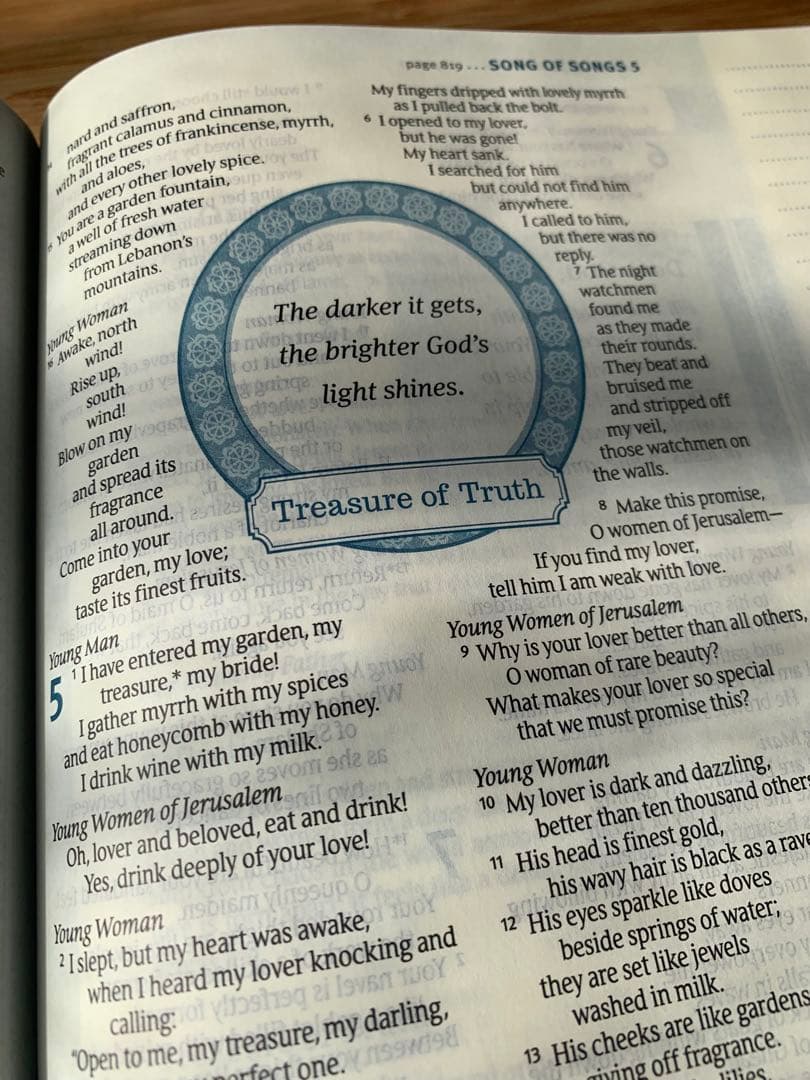 【希少品】英語の聖書　NLT Thrive Bible 書き込めるノート欄付き