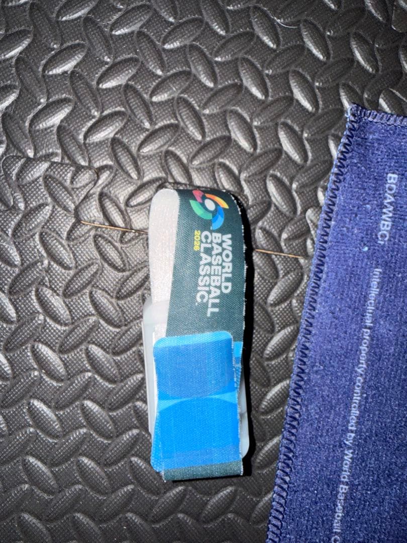 WBC ワールドベースボールクラシック 2026 マイアミ