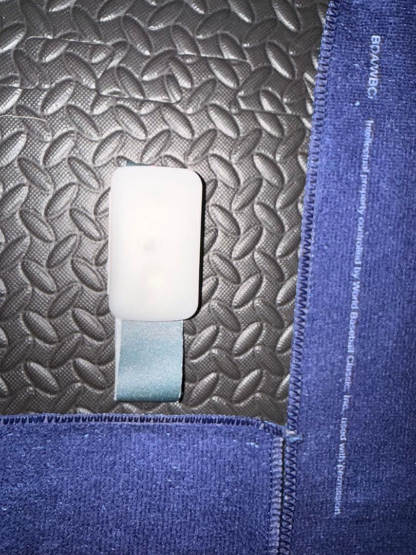 WBC ワールドベースボールクラシック 2026 マイアミ