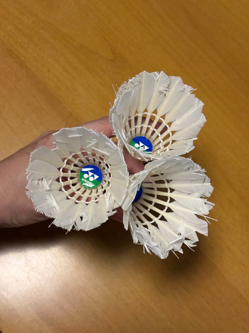 YONEX バドミントン　中古シャトル 10本12個入り　計120球