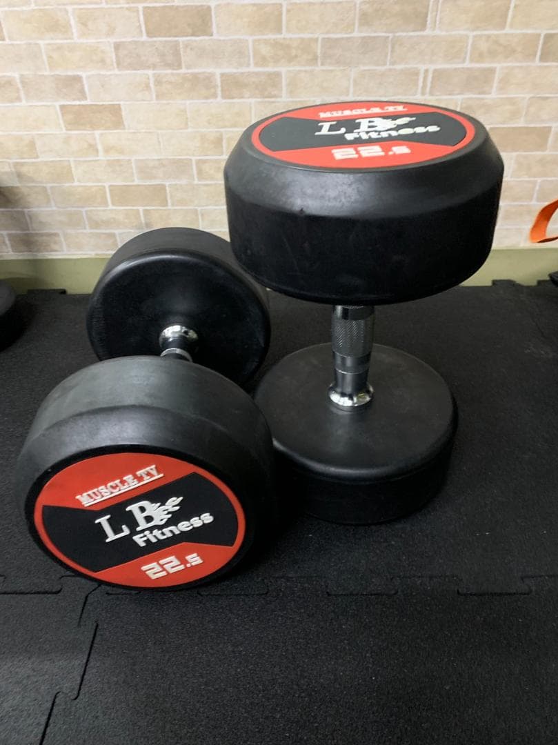 【半額販売】ラバーラウンドダンベル 20kg × 2個（合計40kg）