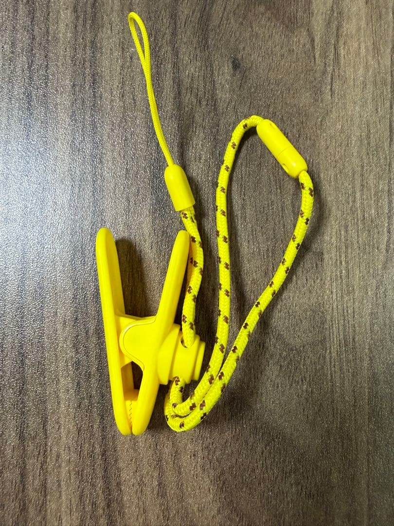 ポケモンGOプラスプラス　ストラップ付き