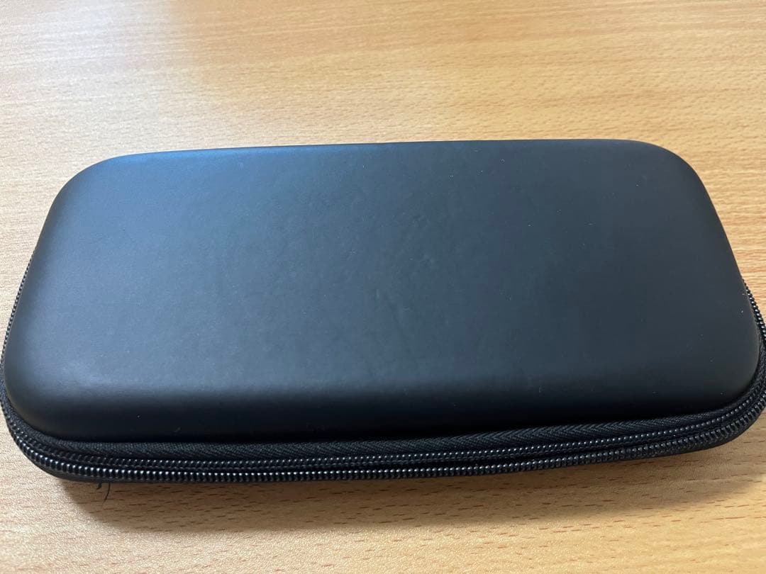 Nintendo Switch Lite 剣盾デザイン本体 充電器・専用ケース付