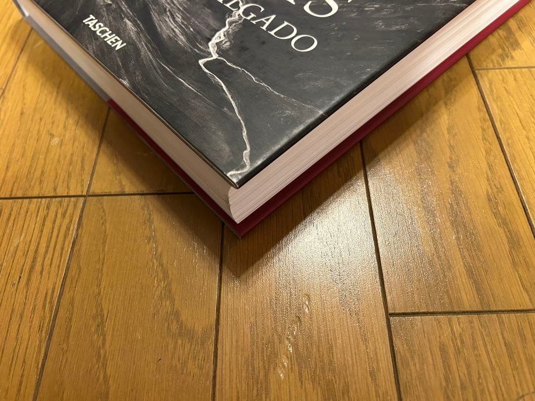 SEBASTIAO SALGADO:GENESIS　セバスチャン・サルガド