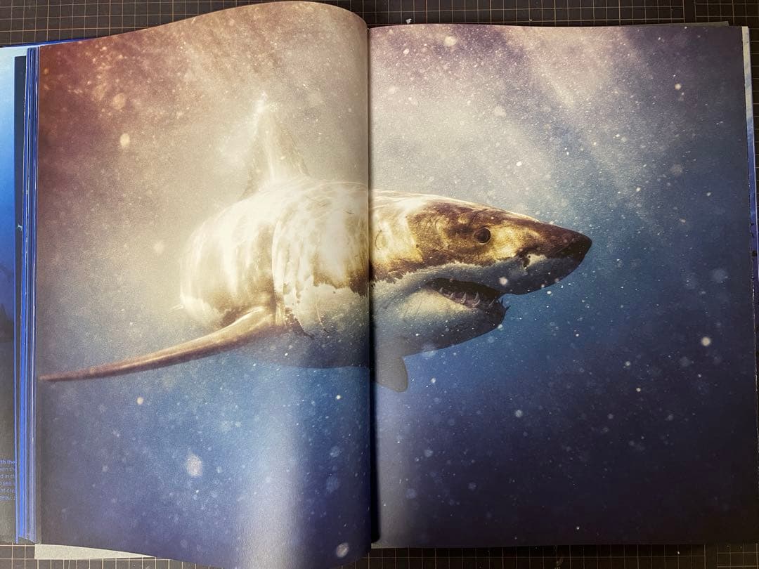 アート・デザイン・音楽 Michael Muller Sharks TASCHEN Books