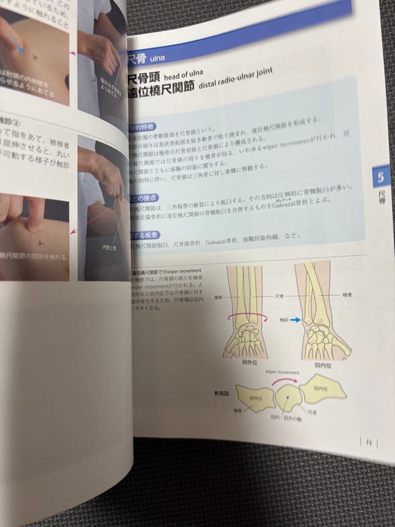 機能解剖学的触診技術 改訂第2版 2冊セット　理学療法士　作業療法士　リハビリ