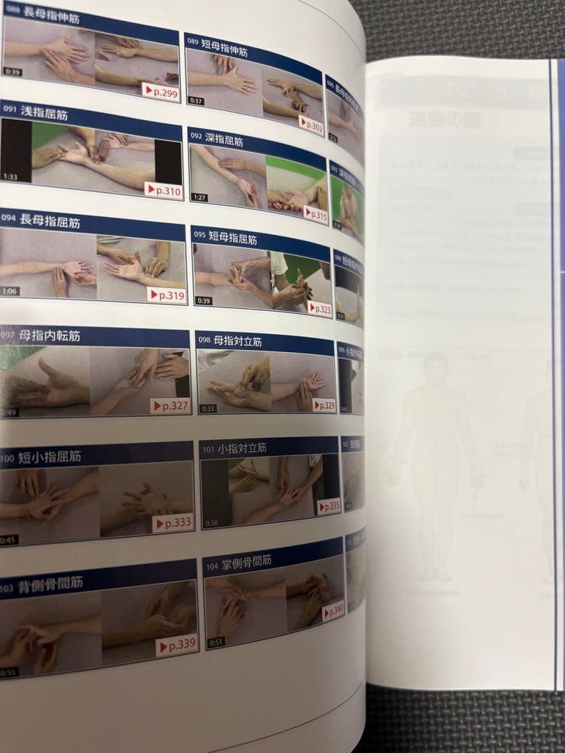 機能解剖学的触診技術 改訂第2版 2冊セット　理学療法士　作業療法士　リハビリ