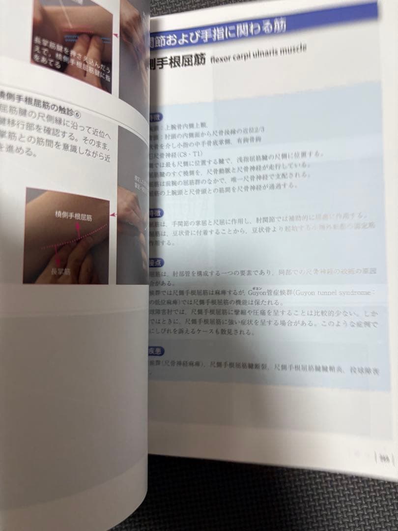 機能解剖学的触診技術 改訂第2版 2冊セット　理学療法士　作業療法士　リハビリ