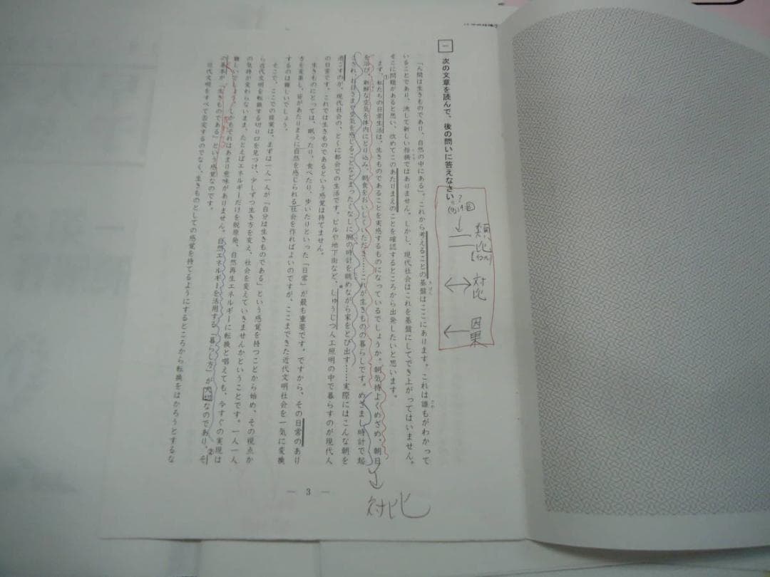 早稲田アカデミー　NN早大学院　正月特訓/直前特講/その他　2017年度版