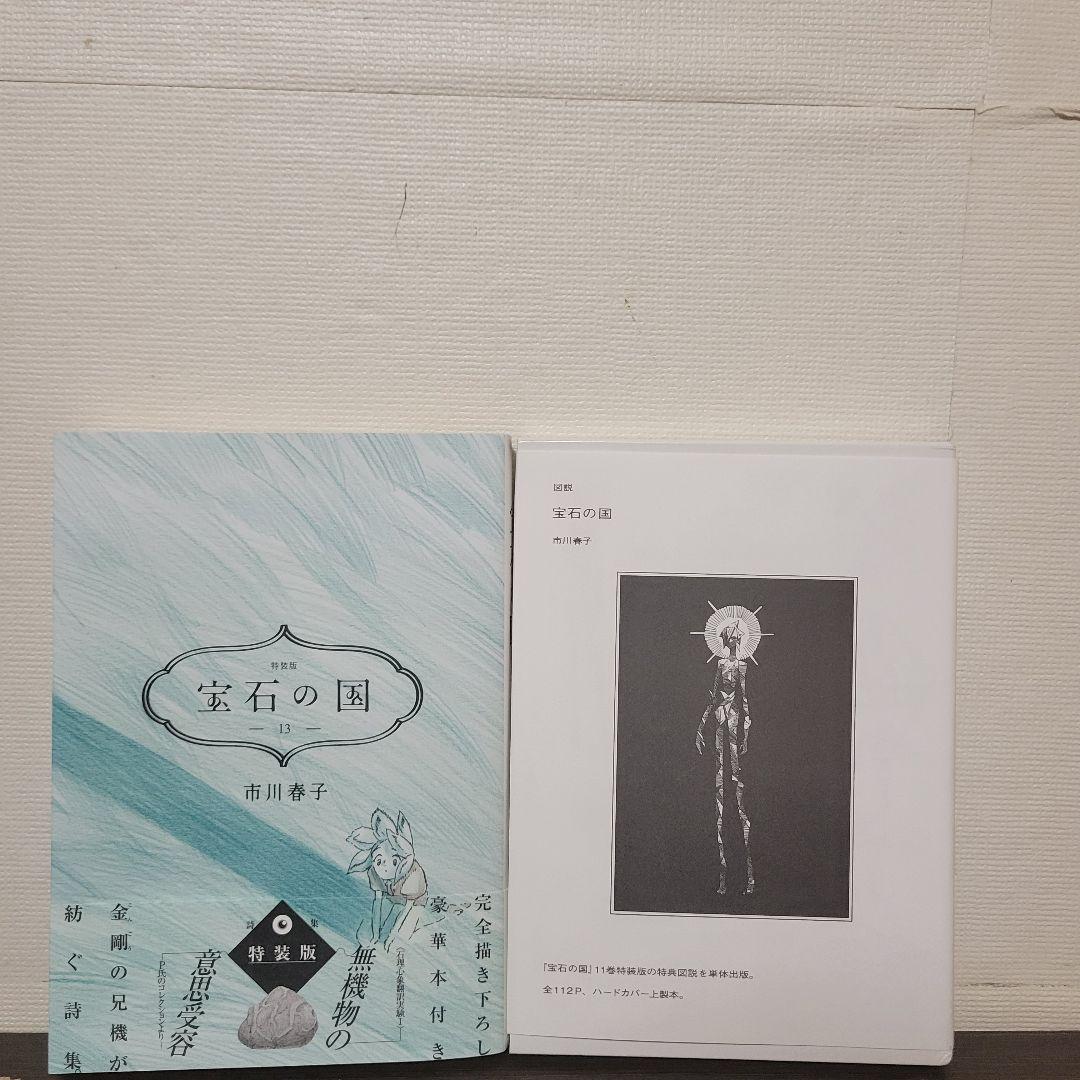 宝石の国 10巻 特装版