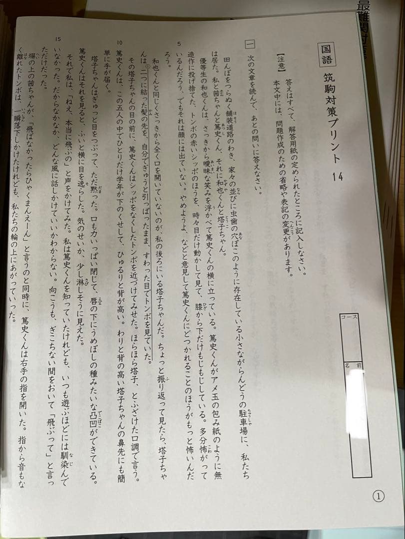 ②2025年度最新サピックス6年　SundaySapix 筑駒開成対策　国語教材