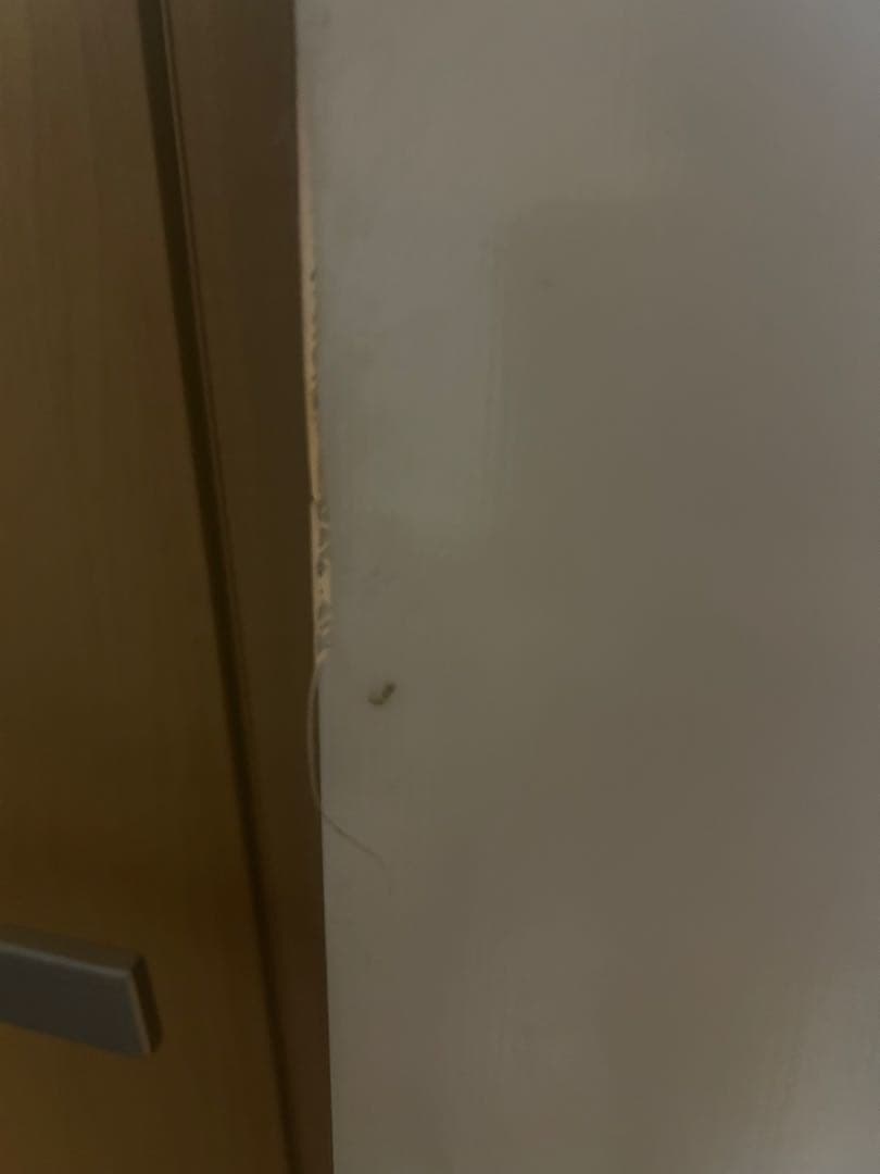 Salomon スノーボードセット　ブーツ26.5