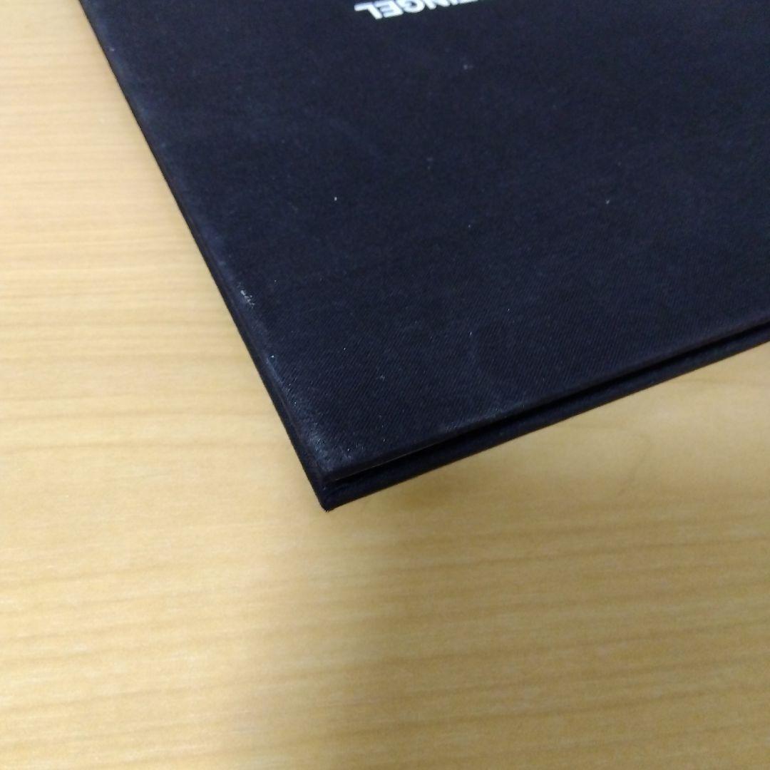 アート・デザイン・音楽 RUDOLF STINGEL secession