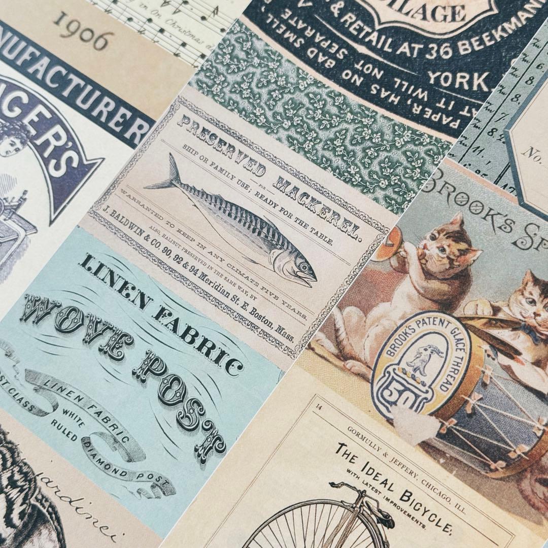 8月新作フルセット11