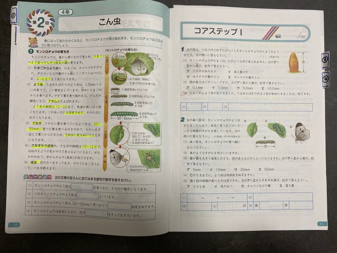 名進研　SAPIX コアマスター 4年生　4教科　1年分＋夏期・冬期講習