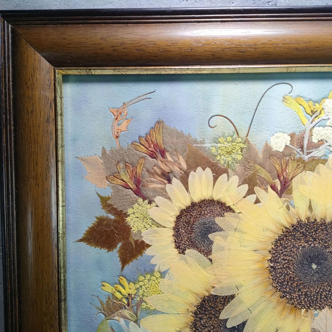 押し花専用額 押し花アート ひまわり　さくらおまとめ