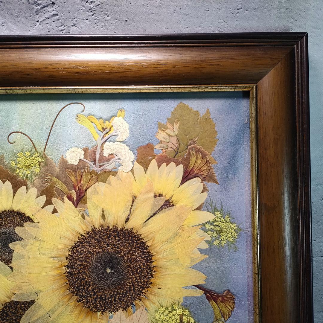 押し花専用額 押し花アート ひまわり　さくらおまとめ