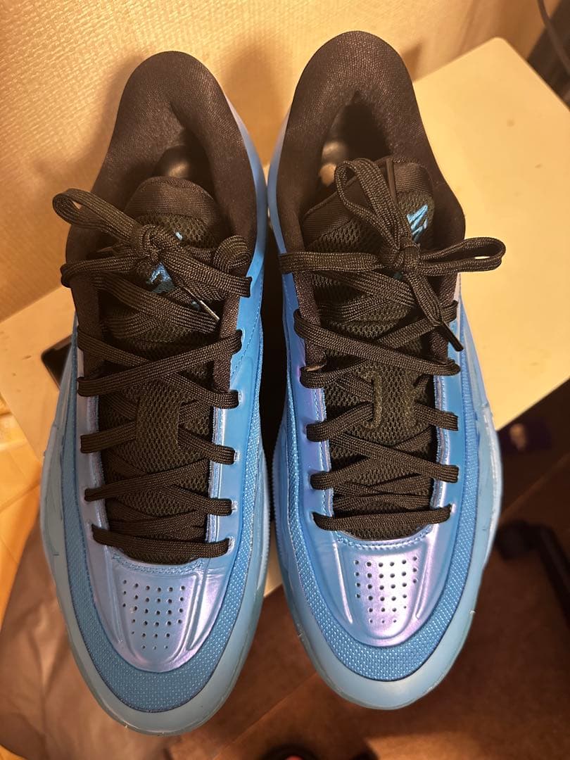 ザイオン4 zion4 エアジョーダン バスケットボールシューズ