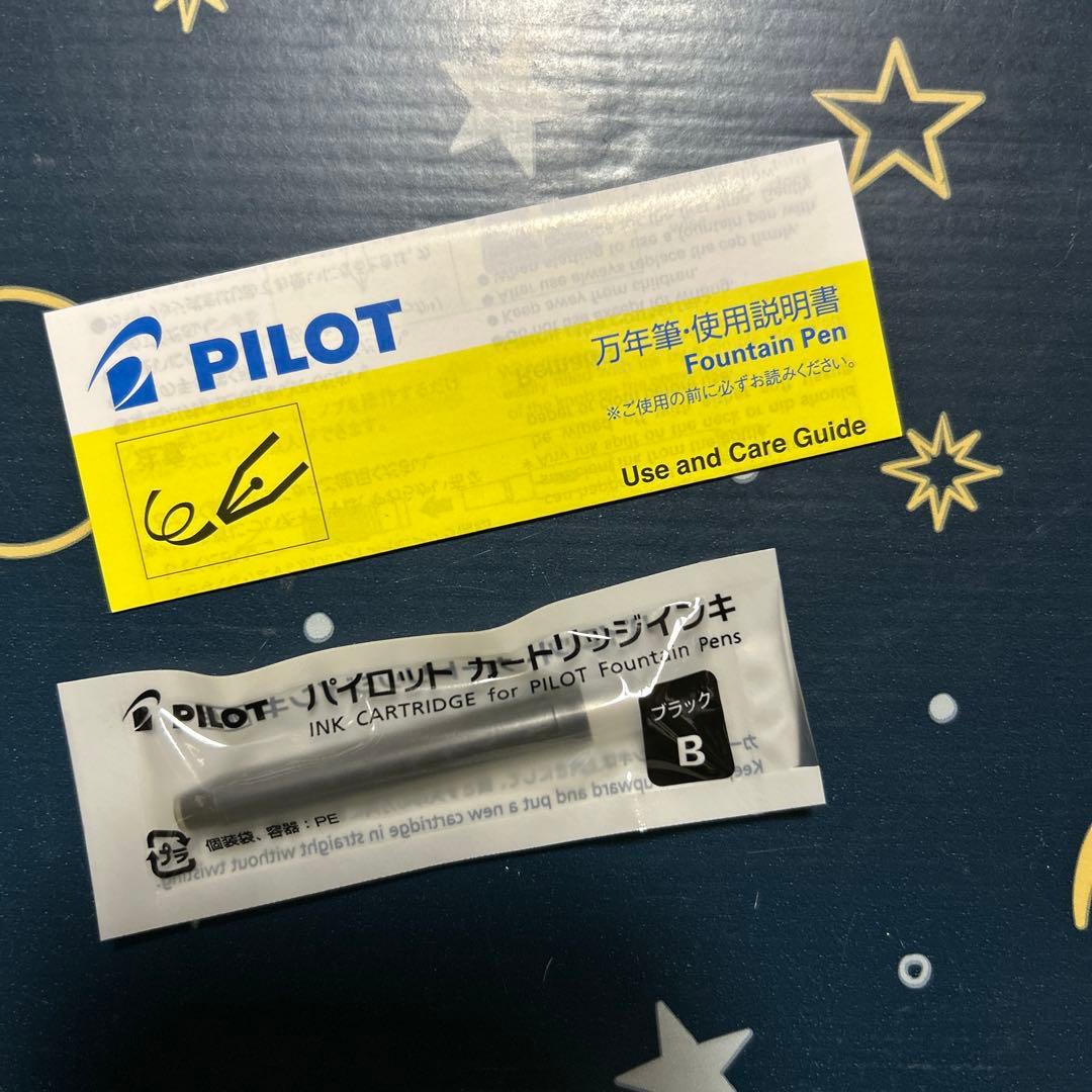 週末割価格！【未使用品】パイロット　カスタム74 M（中字）