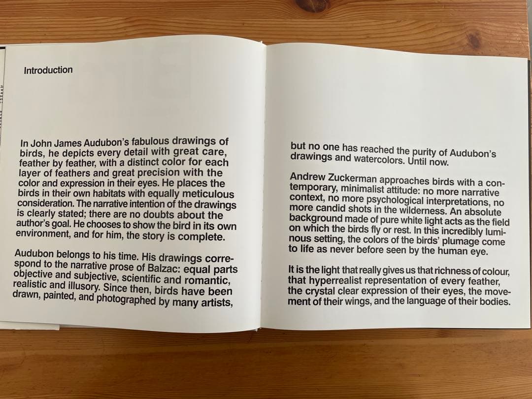 Bird / Andrew Zuckerman 大型本