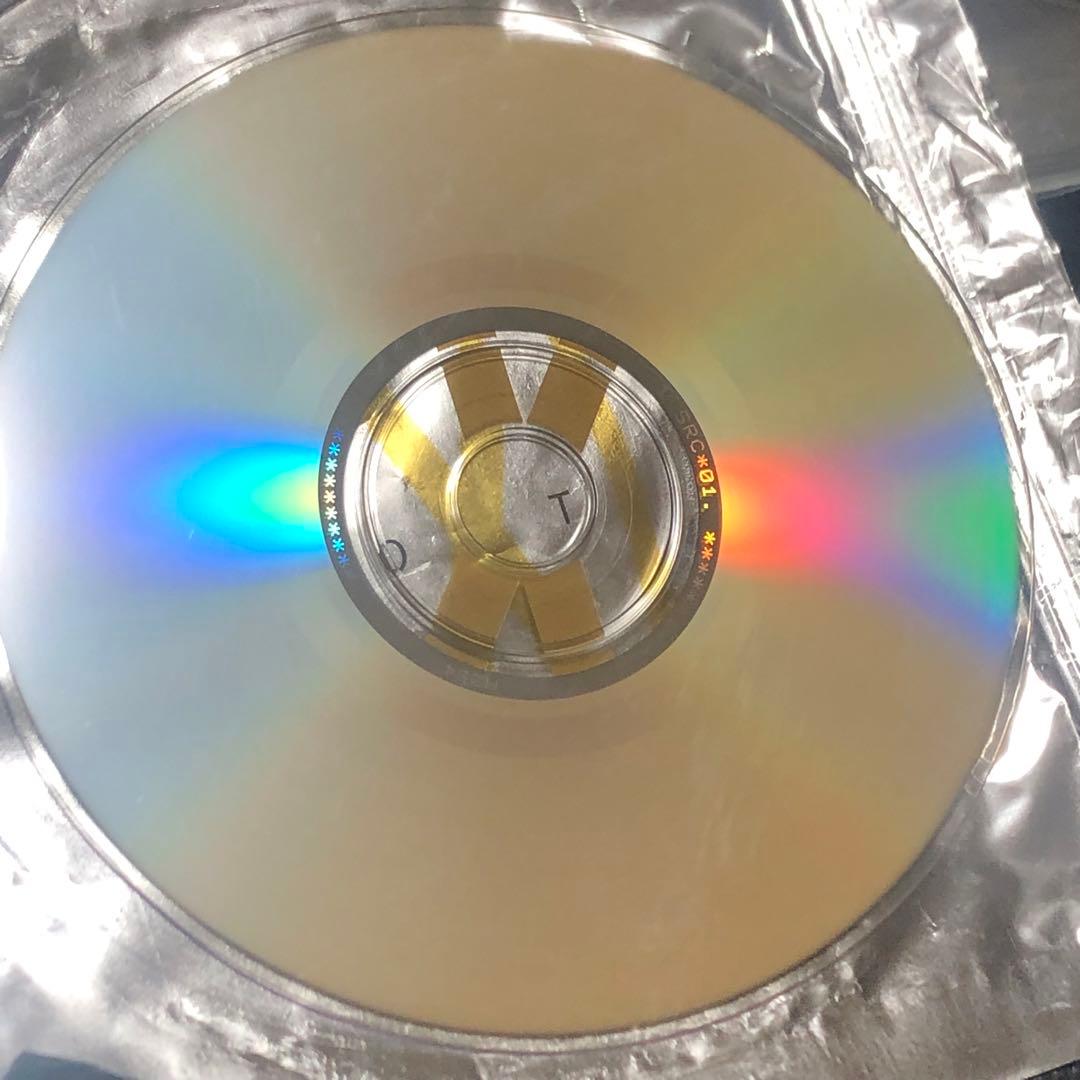 マドンナ　SEX 写真集