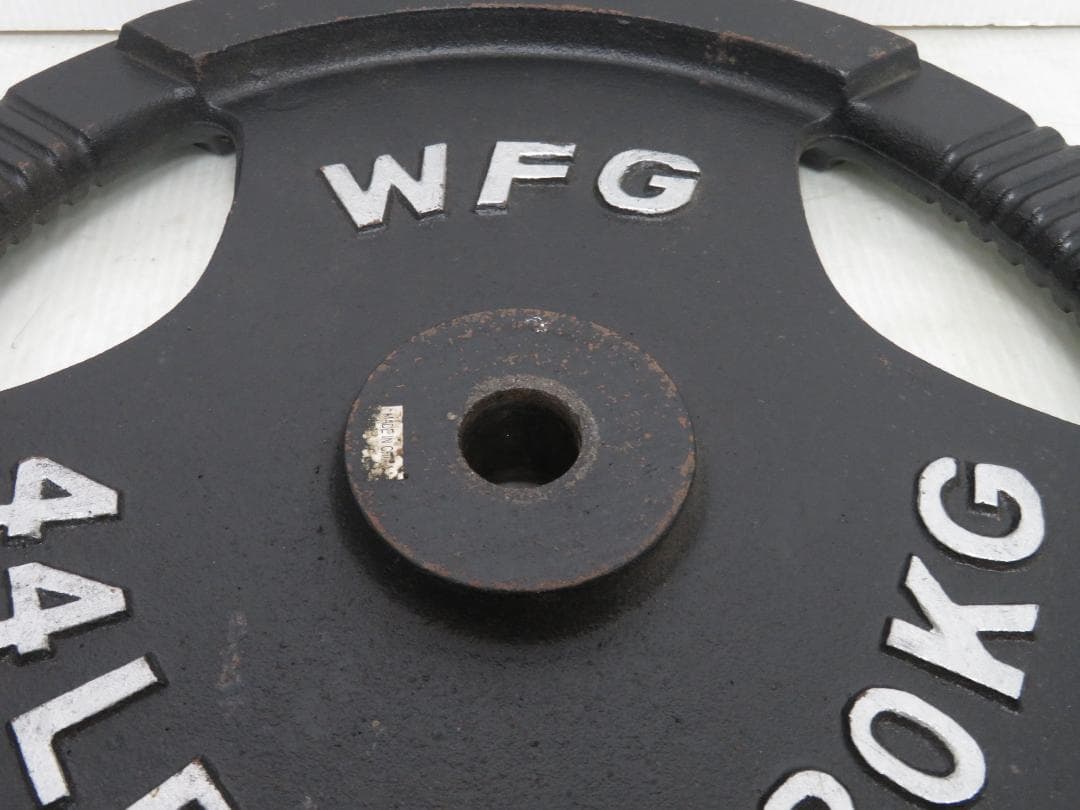 WFG ワイルドフィット アイアンプレート 20kg レギュラー 穴径28mm②