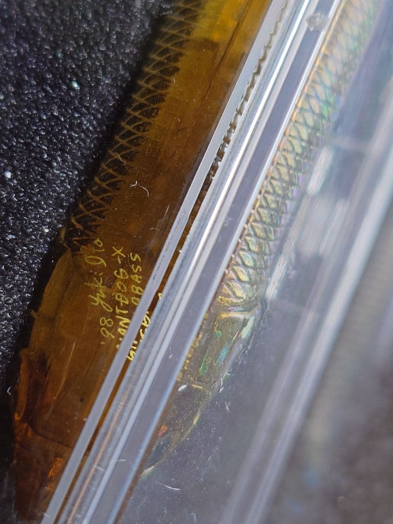 メガバス ito ジャイアント ドッグx オールド'98 GGワカサギ 未使用品