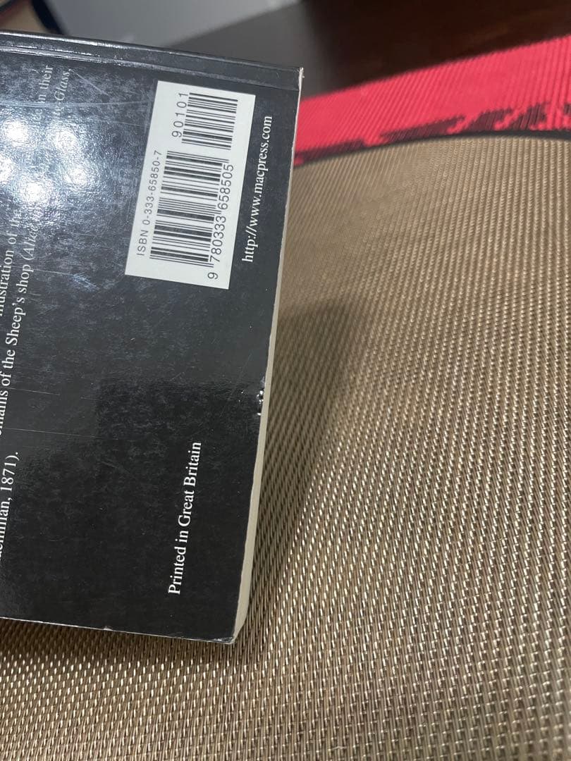 洋書 Alice to the Lighthouse Juliet Dusinberr