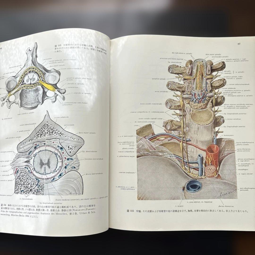図説人体解剖学第1巻と第3巻　医学書院