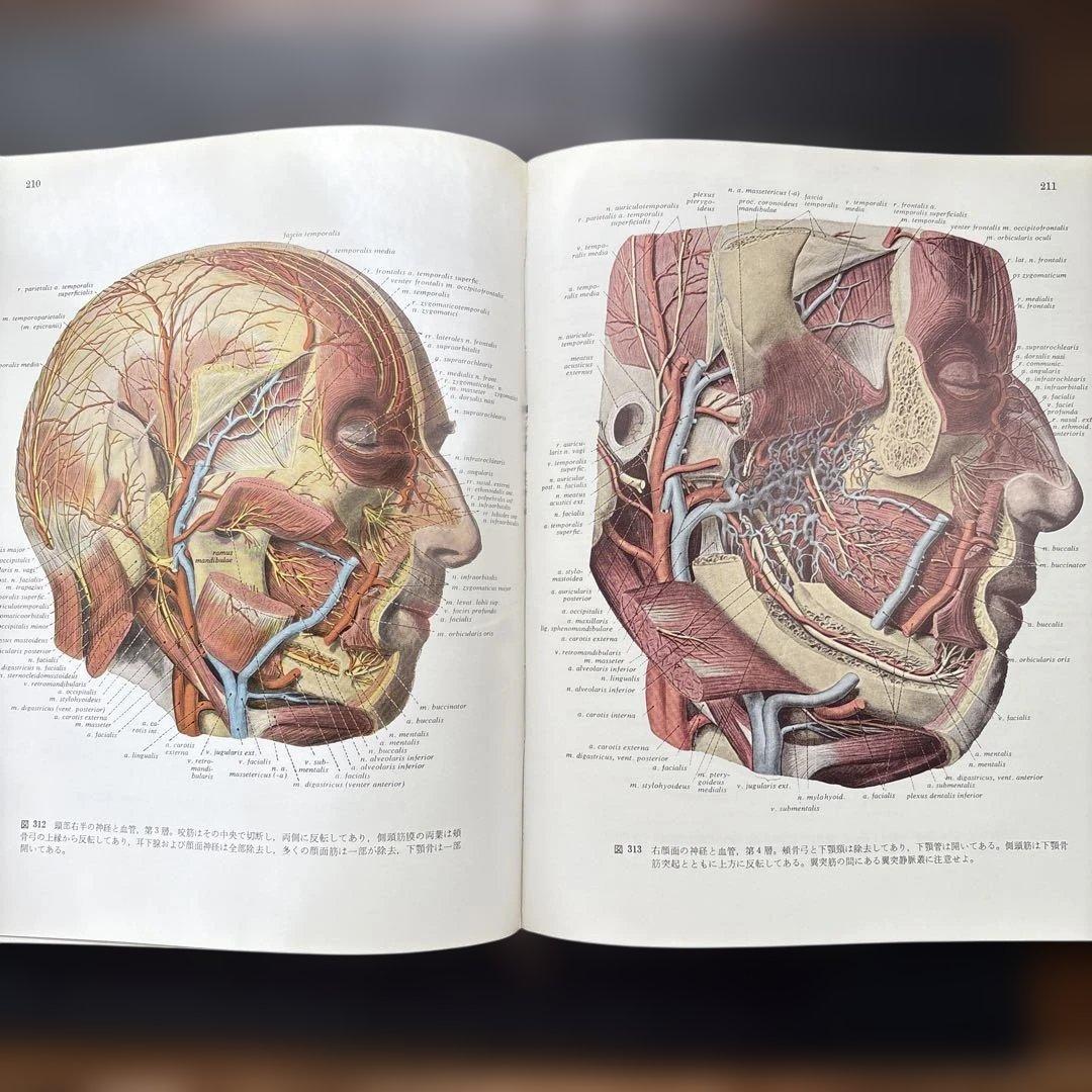 図説人体解剖学第1巻と第3巻　医学書院