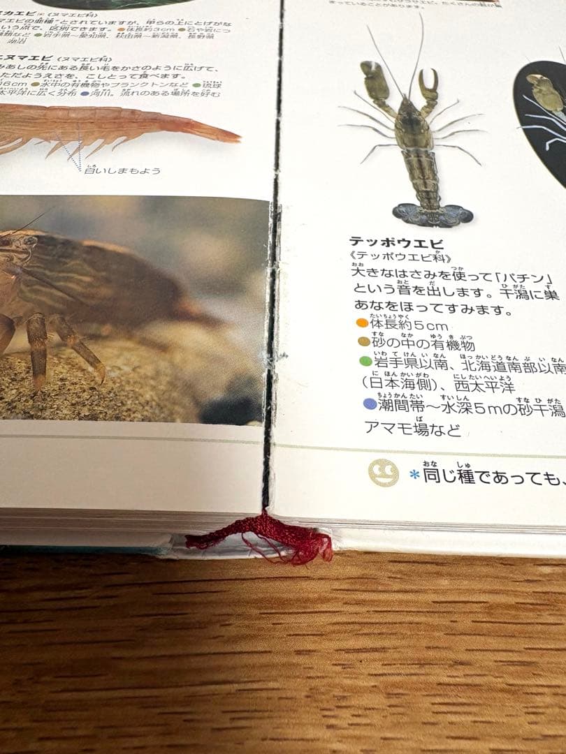 小学生の図鑑NEO シリーズ　くらべる図鑑　ほか全16冊