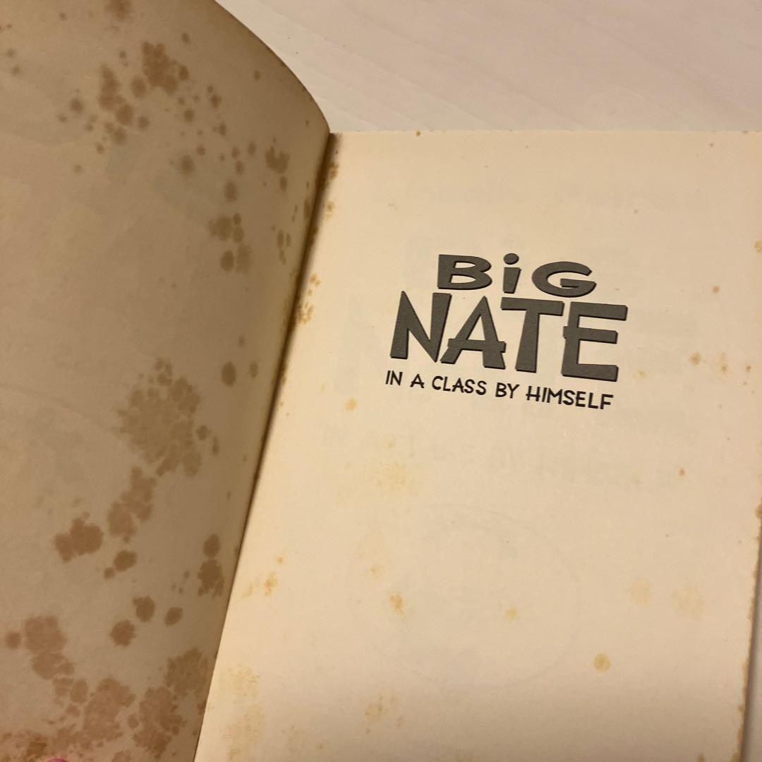 洋書 Big Nate: In a Class by Himself