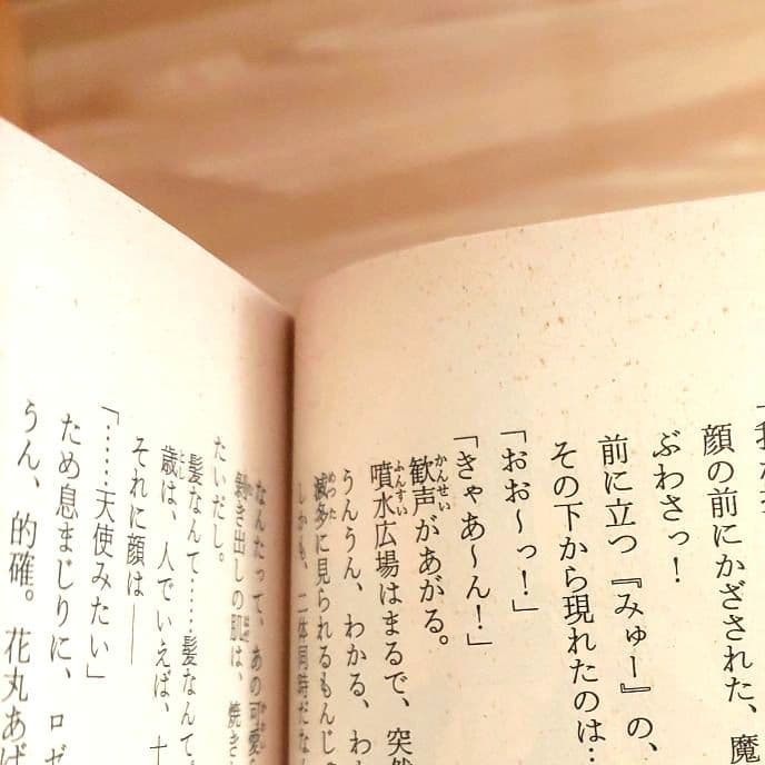 魔法な男の子の飼い方　全２巻