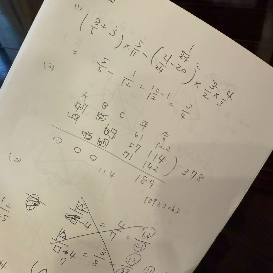 【お値下げ】名進研 2024年度 志望校別特訓 Cコース 全13回分