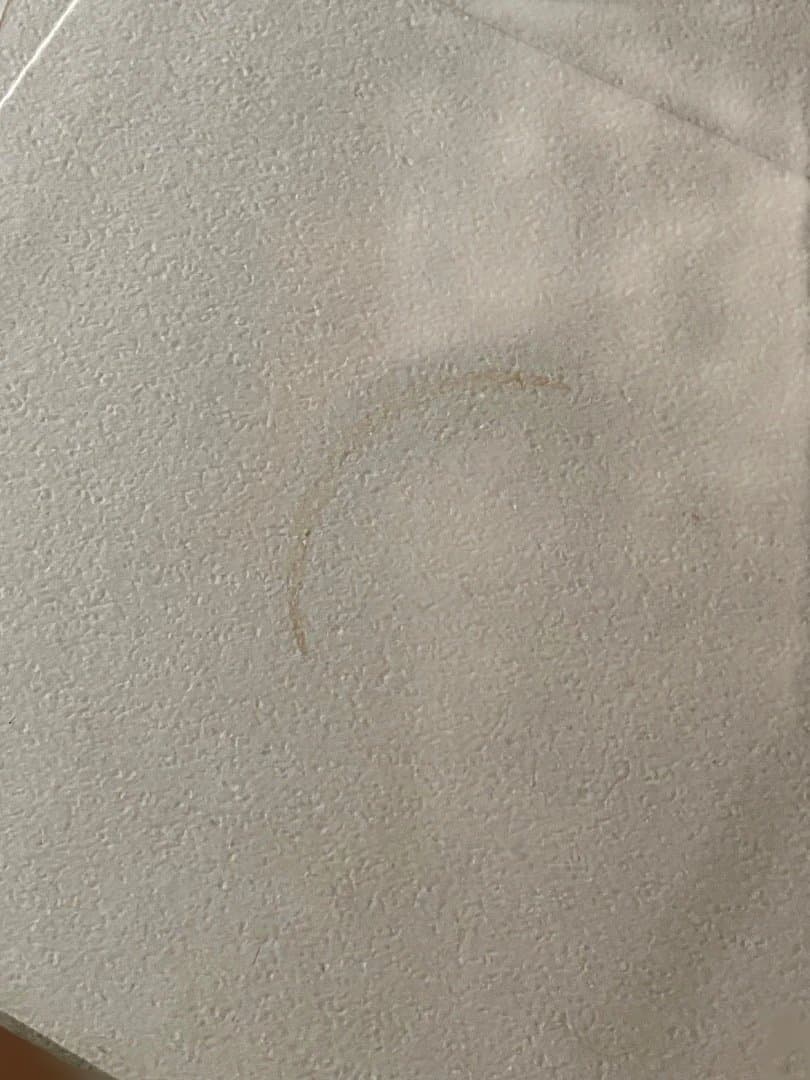 維新日乗纂輯 全5冊揃