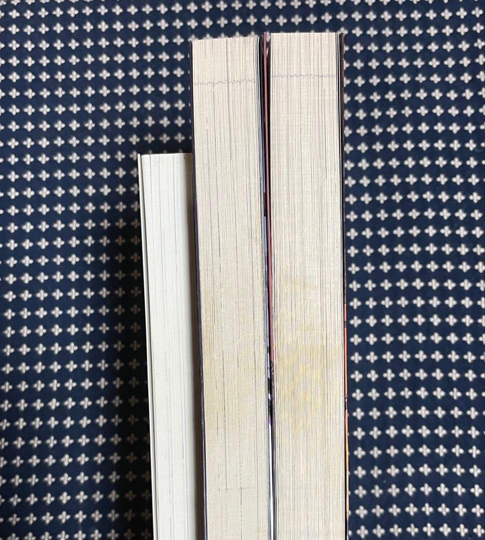 まとめ売り ドラッグオンドラグーン ストーリーサイド、マグニチュードネガティブ