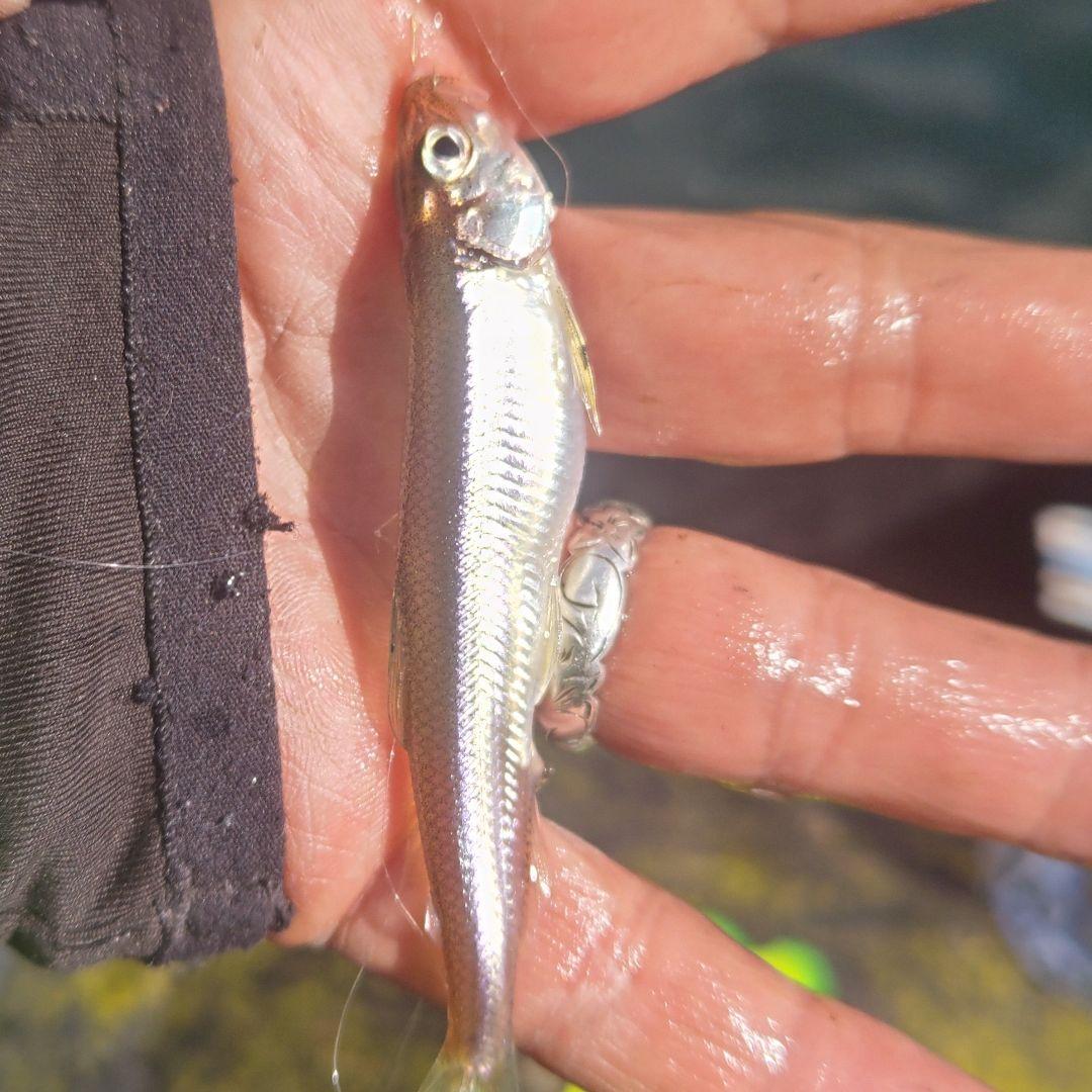 西湖ボートワカサギ用自作削り出しグラスソリッドロング穂先