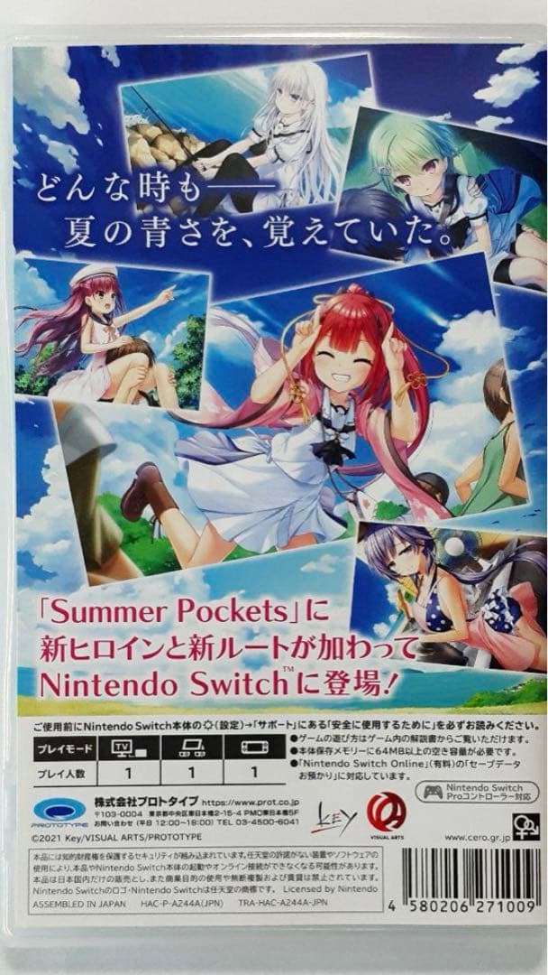 【switch】summer pockets reflection Blue