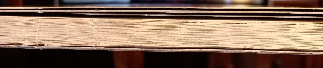 Nobody Knows 奈良美智　ドローイング