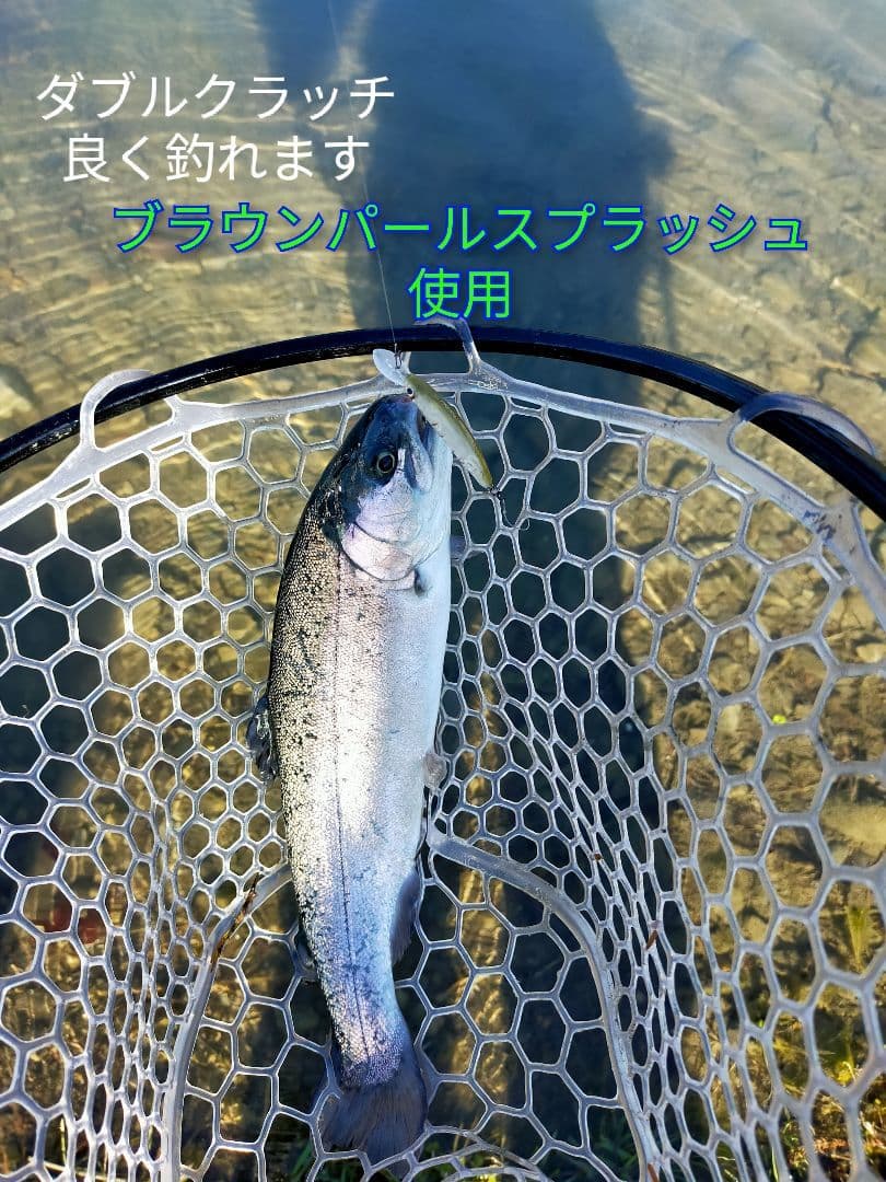 ダイワ　ダブルクラッチ４５Ｆ１ & S　★ 大人気カラー５個セット