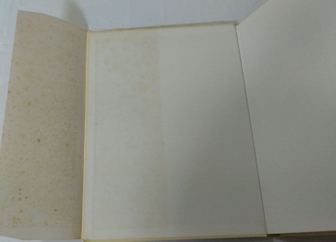 名画の技法―ジョットからホックニーまで―