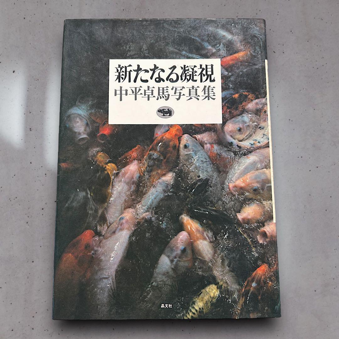【限定値下げ中‼️】 希少 絶版 中平卓馬 新たなる凝視 写真集 ビンテージ 古本