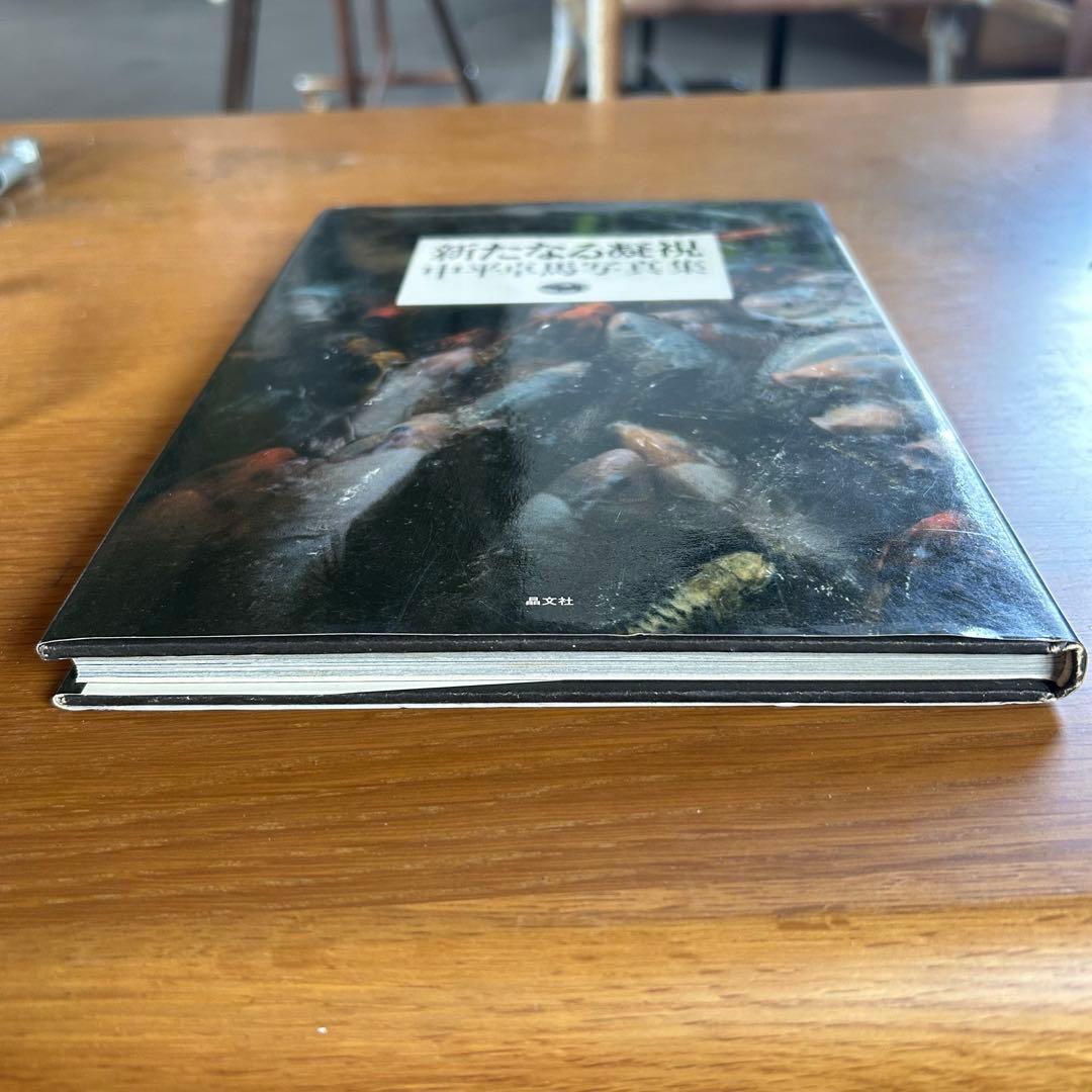 【限定値下げ中‼️】 希少 絶版 中平卓馬 新たなる凝視 写真集 ビンテージ 古本