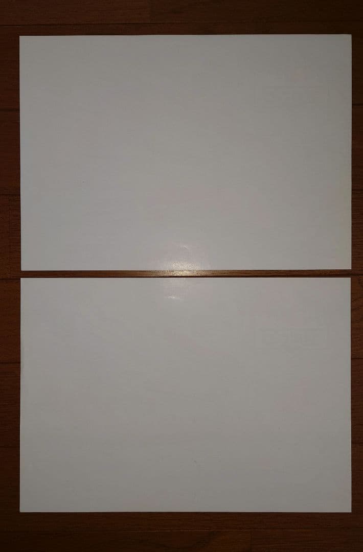 カプコン アーケード ストリートファイターZERO 取説、インスト 新品購入品