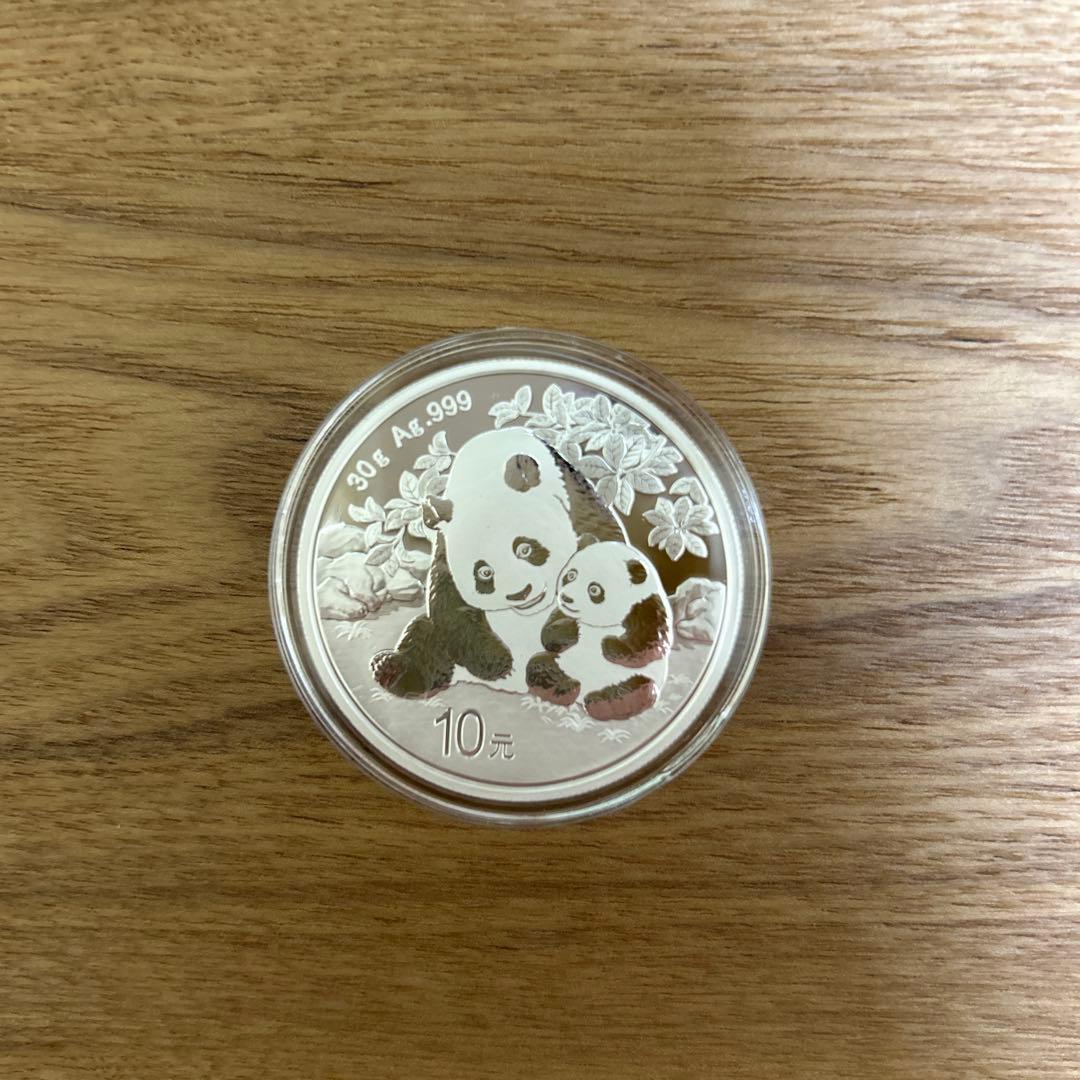 銀　2024 パンダ