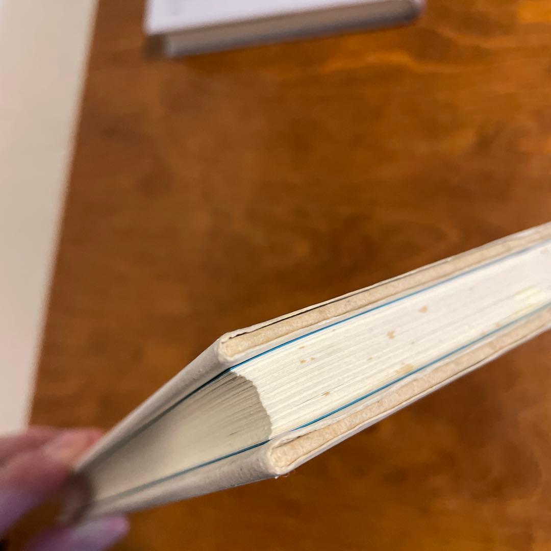 昼と夜　ジョルジュ・ブラックの手帖