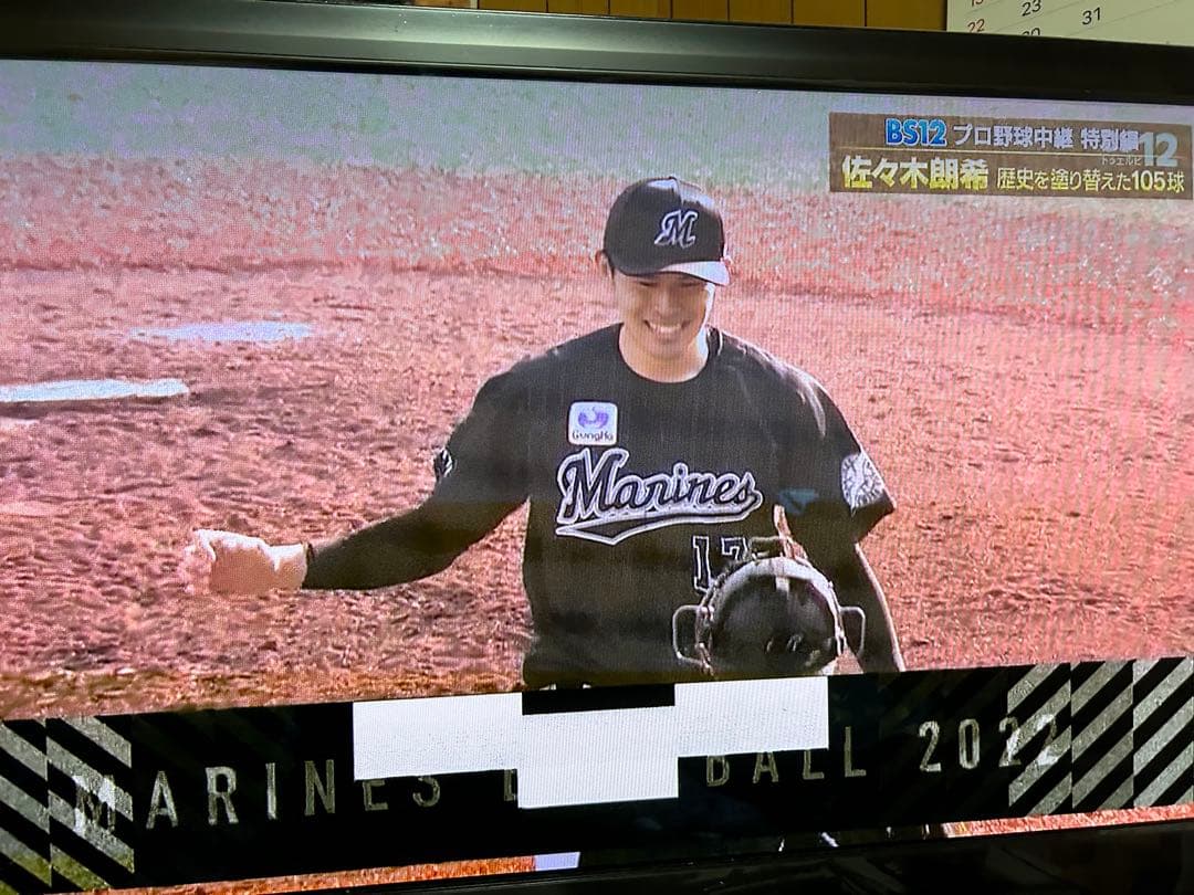 千葉ロッテ　マリーンズ　ダウンジャケット　おまけ付き